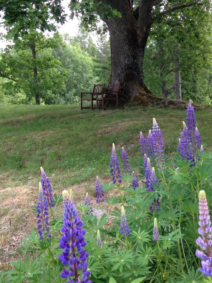 Skalleruds Gard Åsensbruk Exteriér fotografie